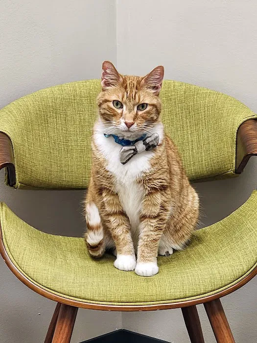 Cat Care Clinic - West 12