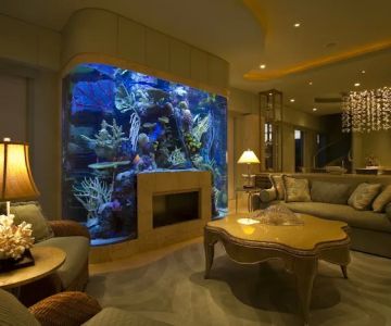 SeaVisions