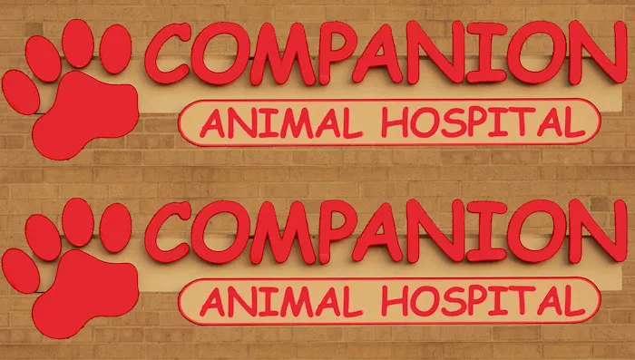 Companion Animal Hospital 12
