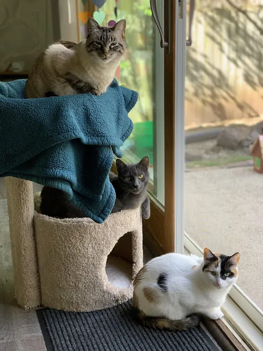 Companion Animal Hospital 12