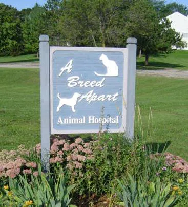 A Breed Apart Animal Hospital 12