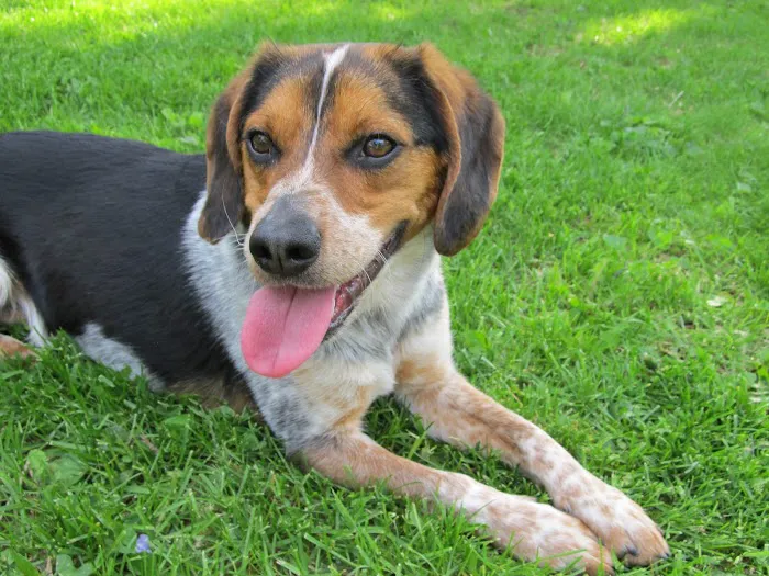 Knight Veterinary Clinic LLC 12