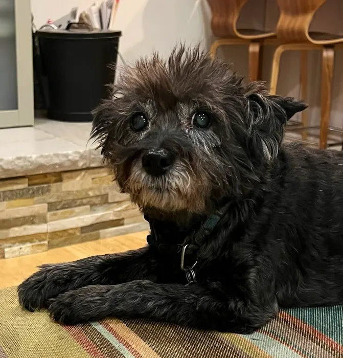 Knight Veterinary Clinic LLC 12