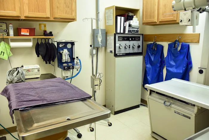 And Dogs Too Veterinary Clinic 12