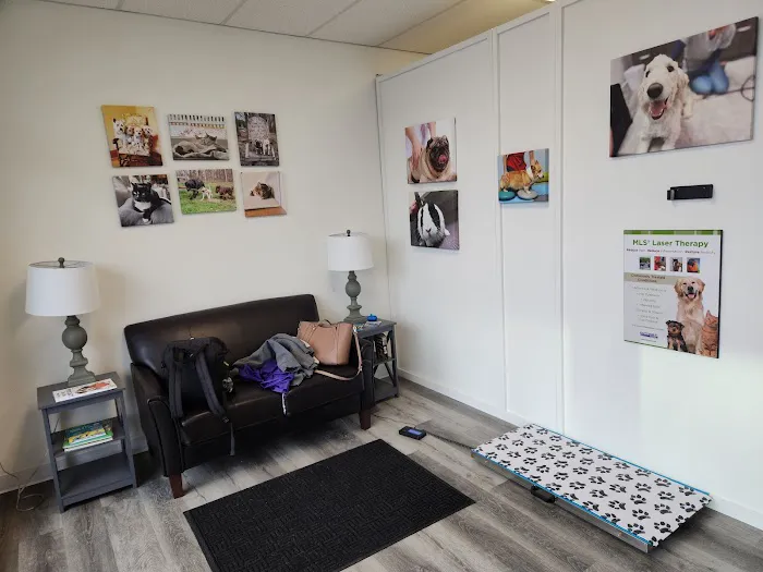 Wags and Purrs Rehab 12