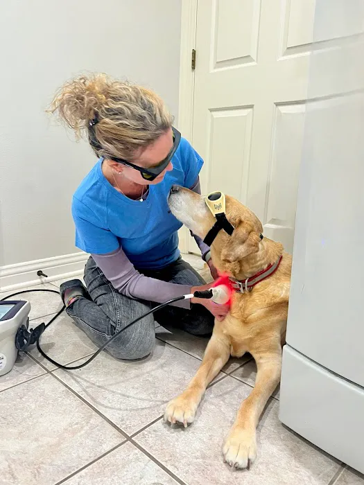 Wags and Purrs Rehab 12