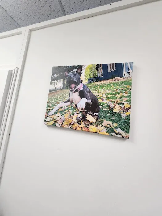 Wags and Purrs Rehab 12