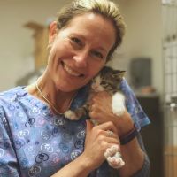The Comfort Vet ico