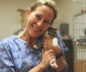The Comfort Vet