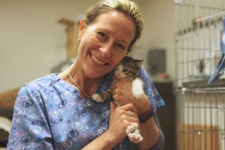 The Comfort Vet