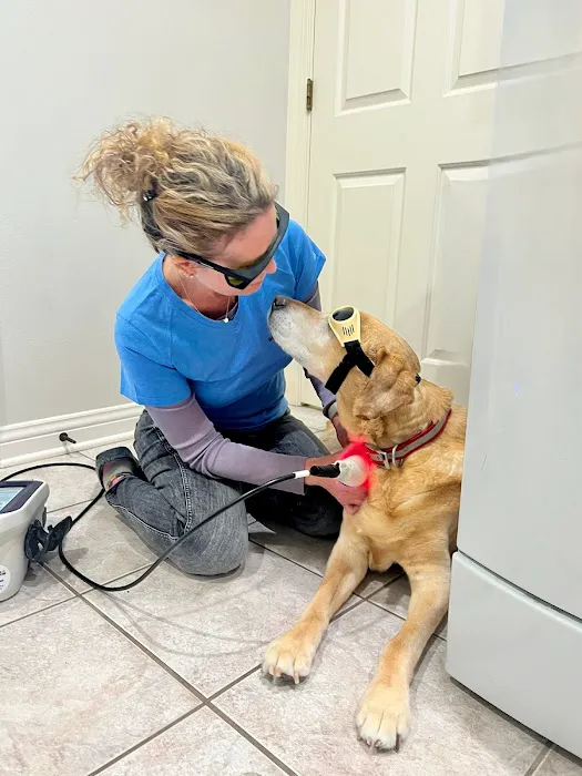 The Comfort Vet 12