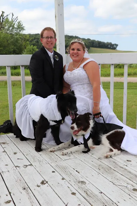 Sun Prairie Pet Clinic Inc: Vitale Christopher DVM 12