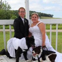 Sun Prairie Pet Clinic Inc: Vitale Christopher DVM ico