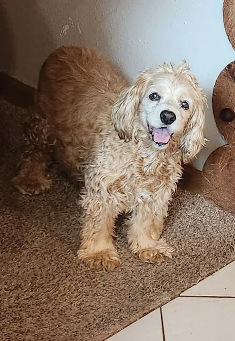 Sun Prairie Pet Clinic, Inc 12