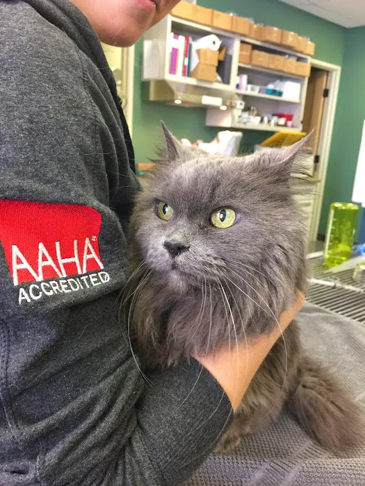 True Veterinary Care 12