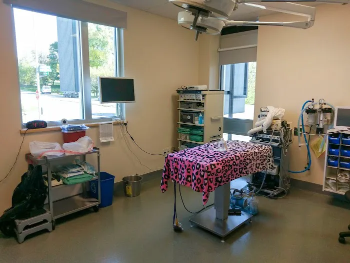 Edinger Surgical Options 12