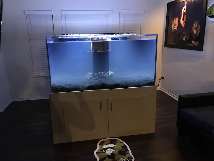 Fish Tanks Direct 12