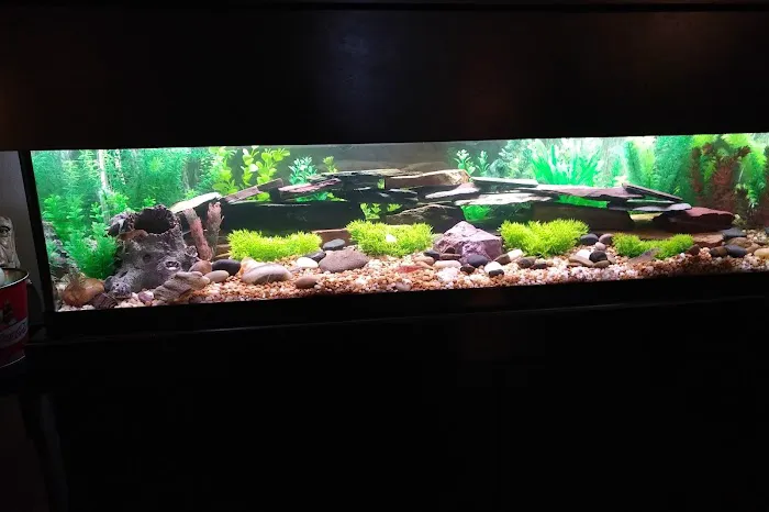 Fish Tanks Direct 12