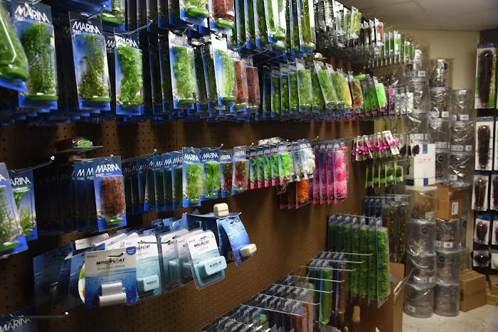 Fish Tanks Direct 12