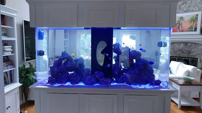 Fish Tanks Direct 12