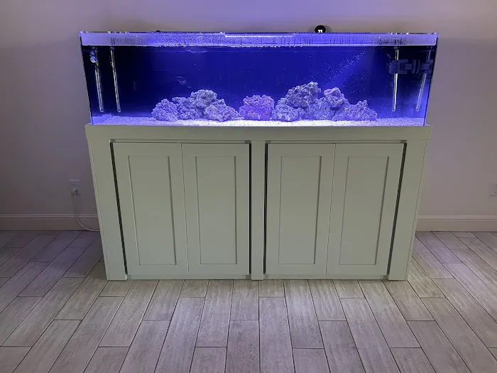 Fish Tanks Direct 12