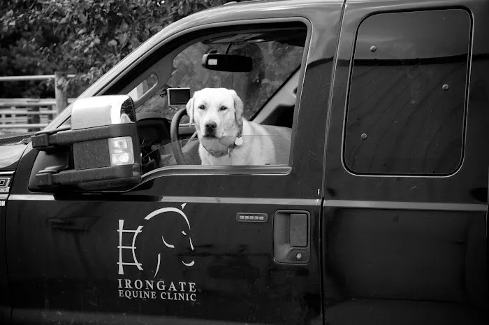 Irongate Equine Clinic 12