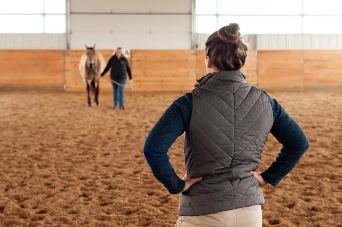 Irongate Equine Clinic 12