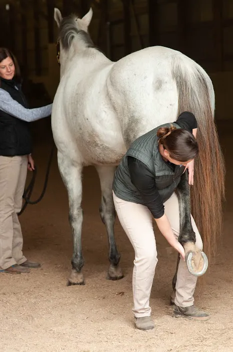 Irongate Equine Clinic 12