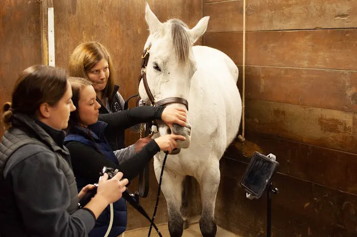 Irongate Equine Clinic 12