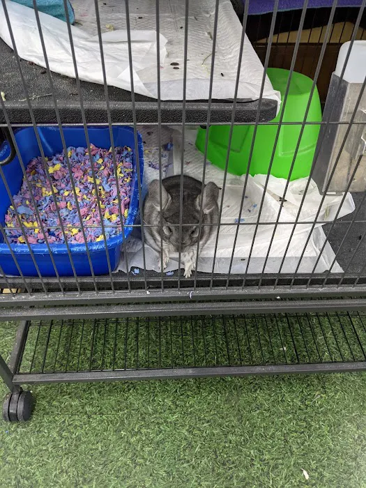 Pet Supermarket 12