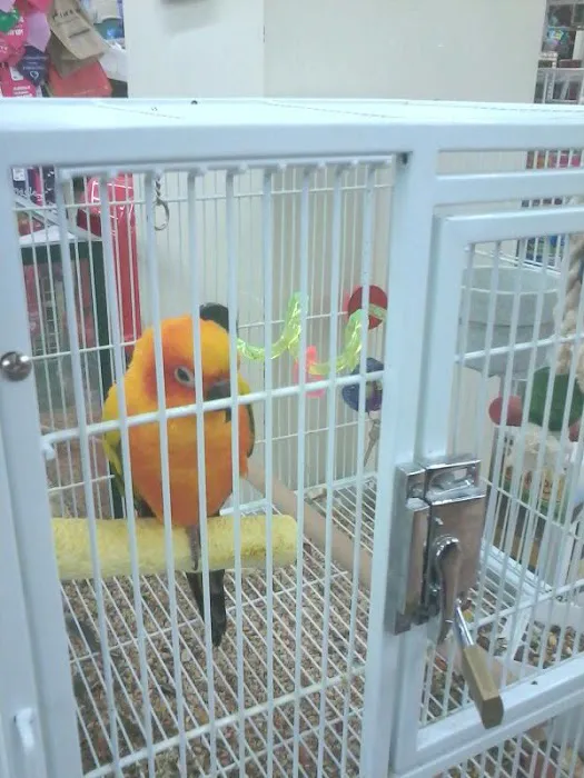 Pet Supermarket 12