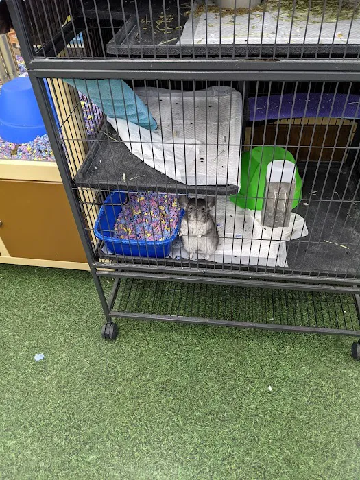 Pet Supermarket 12