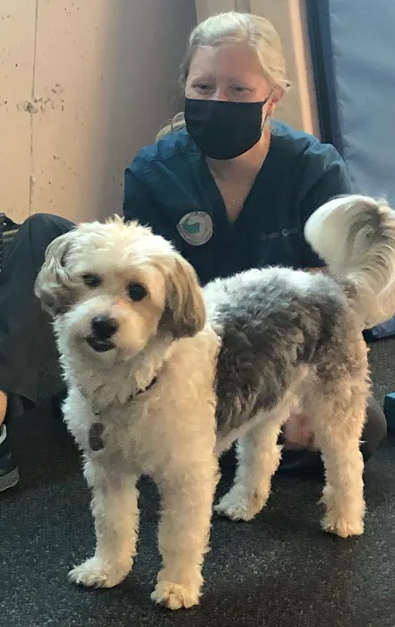 HEAL Integrative Veterinary Center 12