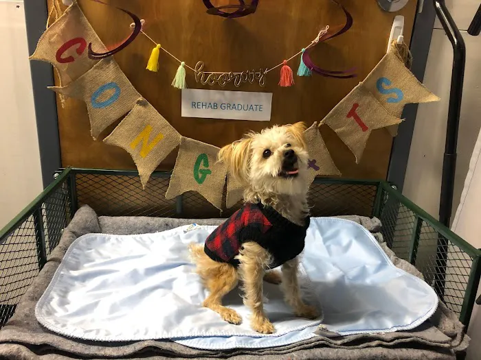 HEAL Integrative Veterinary Center 12