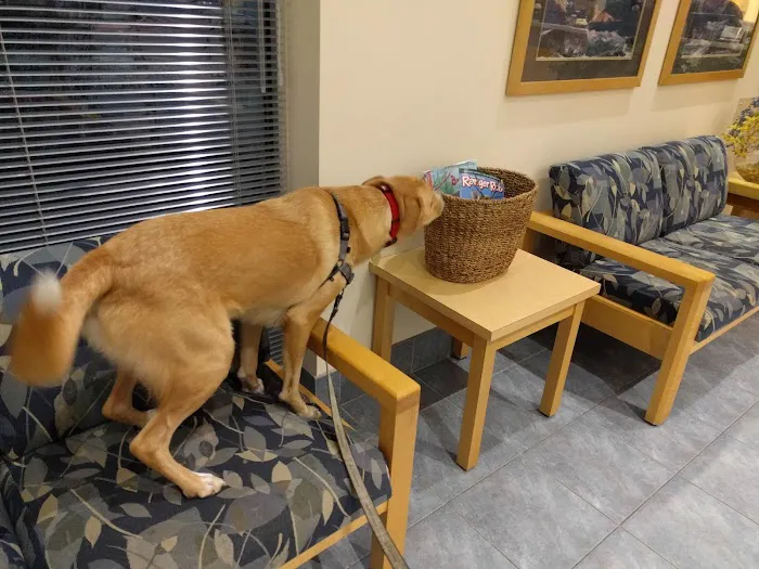 Sondel Family Veterinary Clinic 12