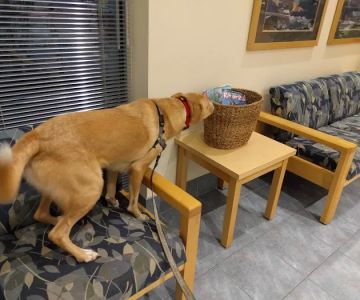 Sondel Family Veterinary Clinic