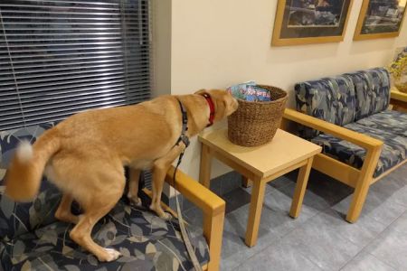 Sondel Family Veterinary Clinic