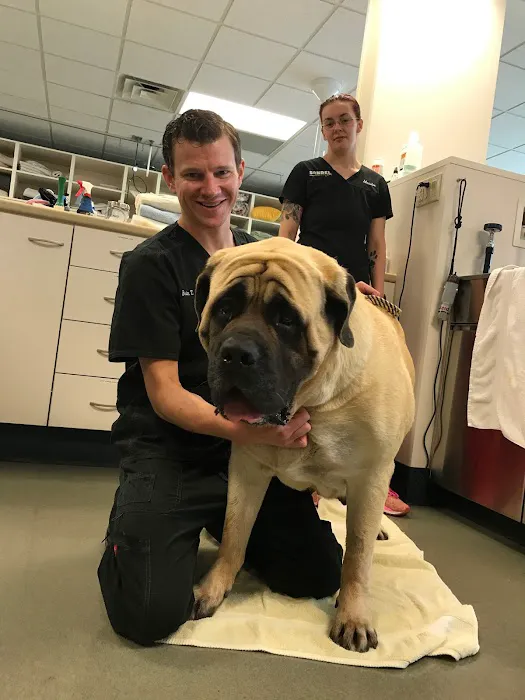 Sondel Family Veterinary Clinic 12