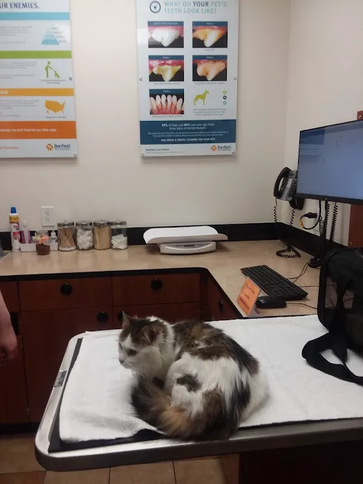 Banfield Pet Hospital 12