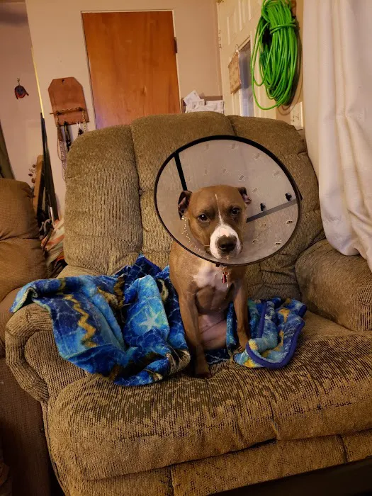 Banfield Pet Hospital 12