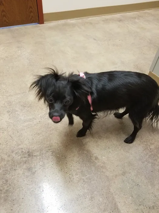 Passion for Paws Veterinary Clinic, Boarding and Daycare 12