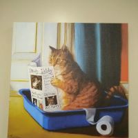Passion for Paws Veterinary Clinic, Boarding and Daycare ico