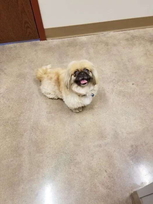 Passion for Paws Veterinary Clinic, Boarding and Daycare 12