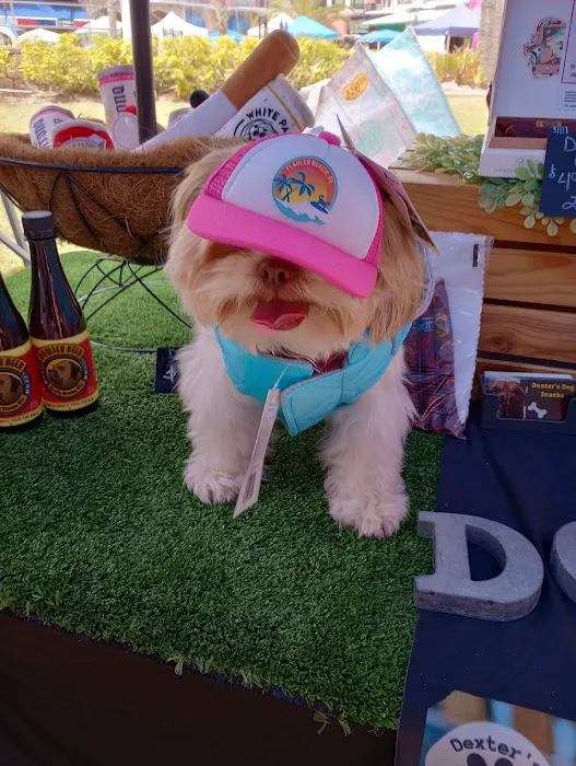Dexters Pet Boutique 2