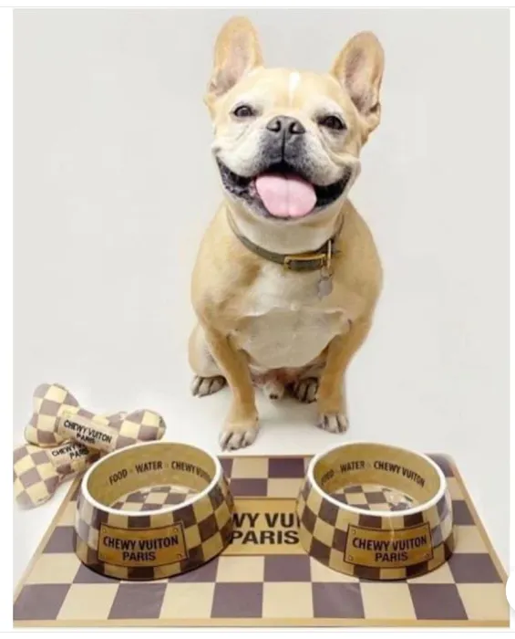 Dexters Pet Boutique 10