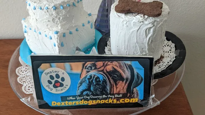 Dexters Pet Boutique 6