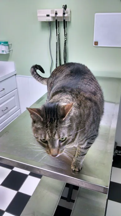 Hilliard Veterinary Hospital 12