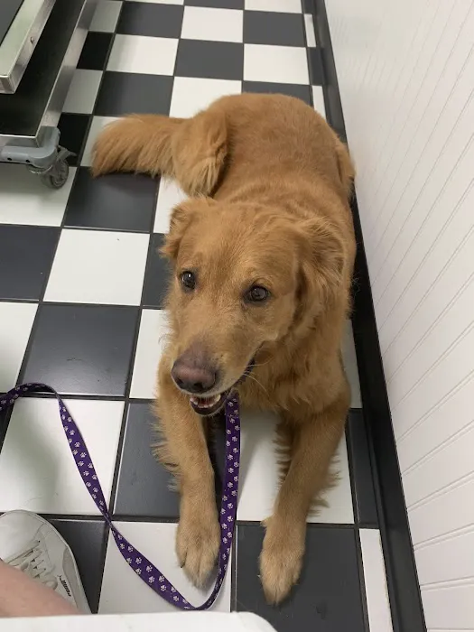 Hilliard Veterinary Hospital 12