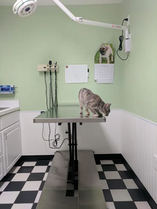 Hilliard Veterinary Hospital 12