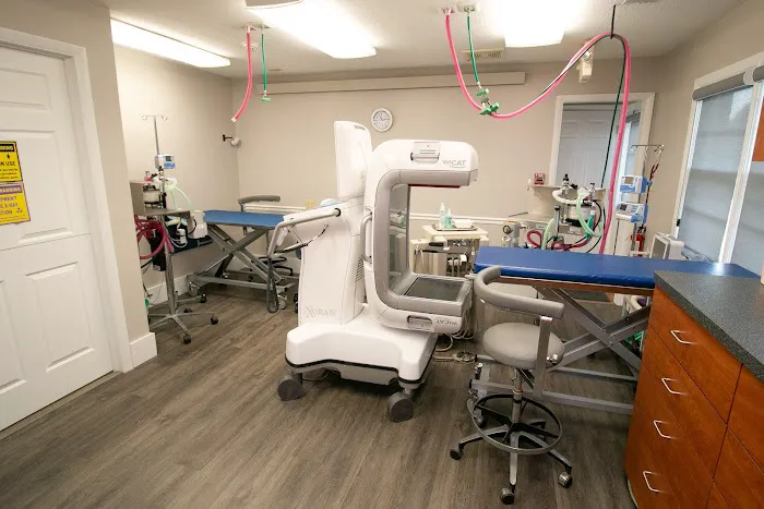 Veterinary Dentistry and Oral Surgery of Ohio 7